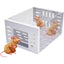 Best-Selling Automatic Continuous Cycle Mouse Trap