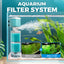 On the final day Automatic Aquarium Filter System