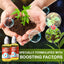 Plant Growth Enhancer Supplement( )