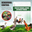 200g Poultry Anti-Pecking Powder – Stop Feather Pulling & Cannibalism in Birds