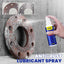 Anti-Rust Lubricant Spray – Removes Rust, Protects Metal & Multi-Surface Use