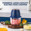 Powerful Large-Capacity Electric Food Chopper – Robust Motor, Smart Design & Stainless Steel Blades