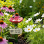 Flower-Shaped Bee Watering Station