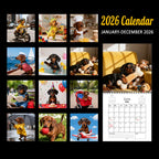 Dachshund Wall Calendar – Cute Sausage Dog 12-Month Planner for Dog Lovers