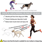 Summer - Hands Free Dog Leash with Zipper Pouch