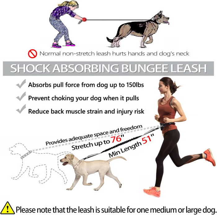 Summer - Hands Free Dog Leash with Zipper Pouch