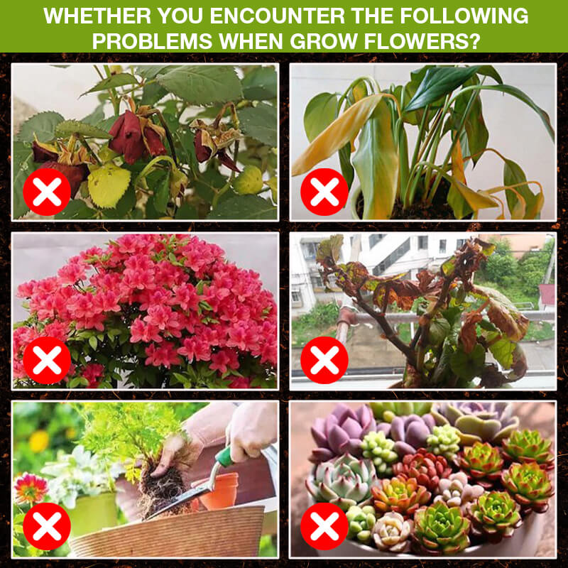 Plant Growth Enhancer Supplement（ ）