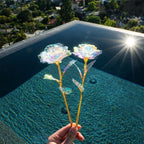 Limited Edition Crystal Rose – Eternal Love, brilliantly sparkling! The perfect Valentine's Day gift