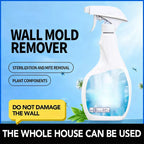 Highly Effective Mould Removal Spray - Prevents Mould Regrowth