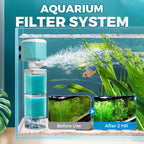 On the final day Automatic Aquarium Filter System