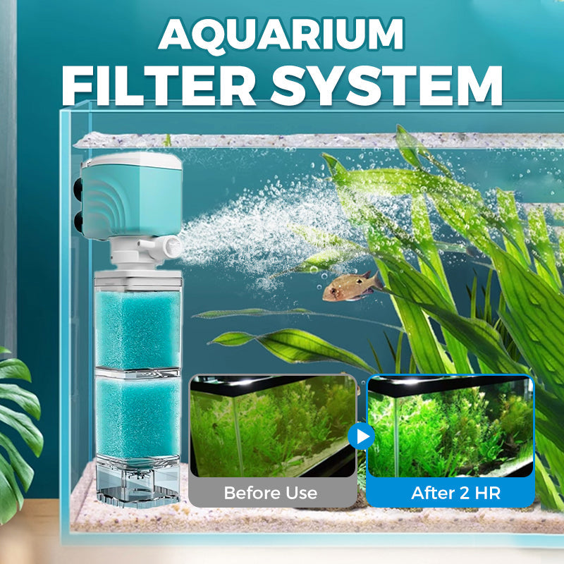 On the final day Automatic Aquarium Filter System