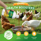 Poultry Multi-Symptom Oral Solution – Treats Respiratory, Digestive & Immune Issues in One Dose