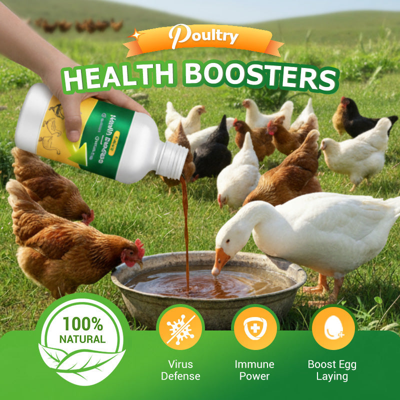 Poultry Multi-Symptom Oral Solution – Treats Respiratory, Digestive & Immune Issues in One Dose