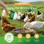Poultry Multi-Symptom Oral Solution – Treats Respiratory, Digestive & Immune Issues in One Dose