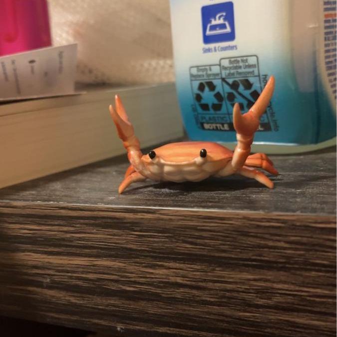 Funny - Cute crab-shaped pen holder