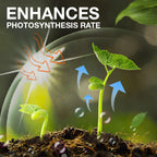 Plant Growth Enhancer Supplement（ ）