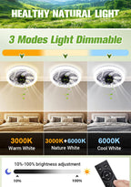 New for 2-in-1 Mute Adjustable Fan Light with Remote Control
