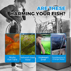 On the final day Automatic Aquarium Filter System