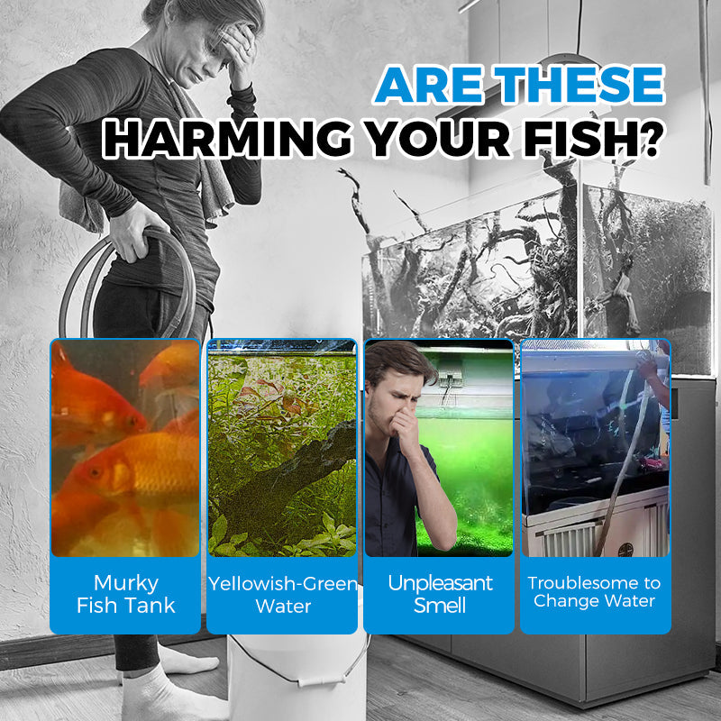 On the final day Automatic Aquarium Filter System