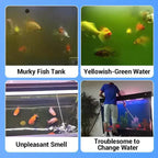 BIG SALE !! Powerful Aquarium Water Purification Tablet