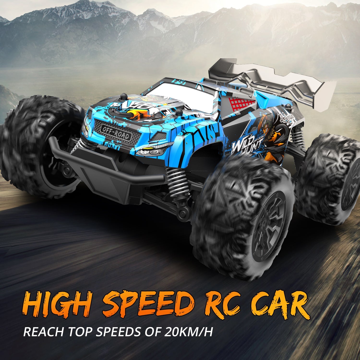 Professional RC cars and toys