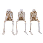 Halloween Fireplace Simulation Skull Combination