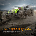 Professional RC cars and toys