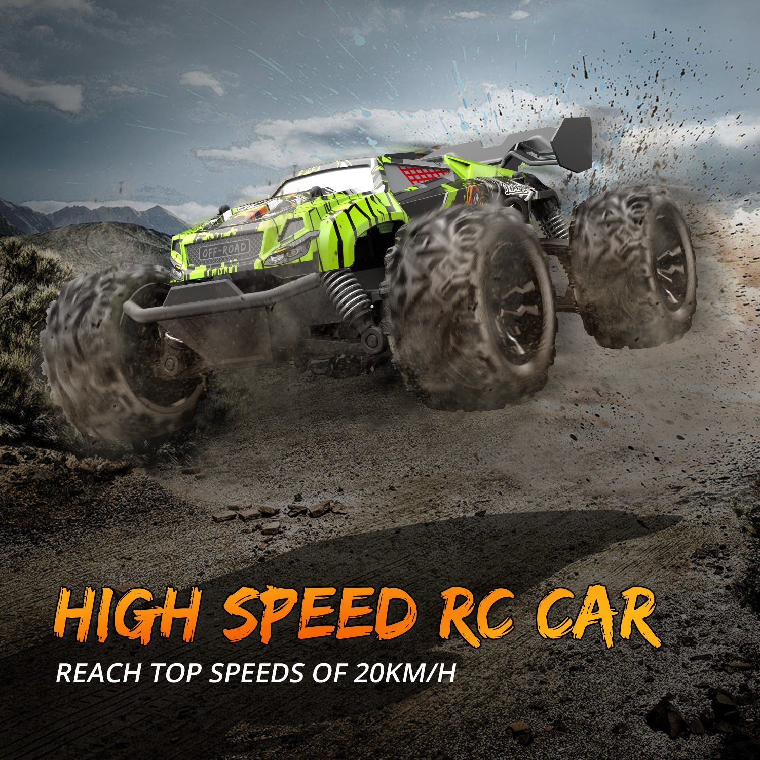 Professional RC cars and toys