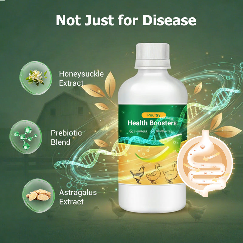 Poultry Multi-Symptom Oral Solution – Treats Respiratory, Digestive & Immune Issues in One Dose