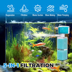 On the final day Automatic Aquarium Filter System
