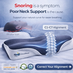 CloudNest™ Ergonomic Alignment Sleep Pillow