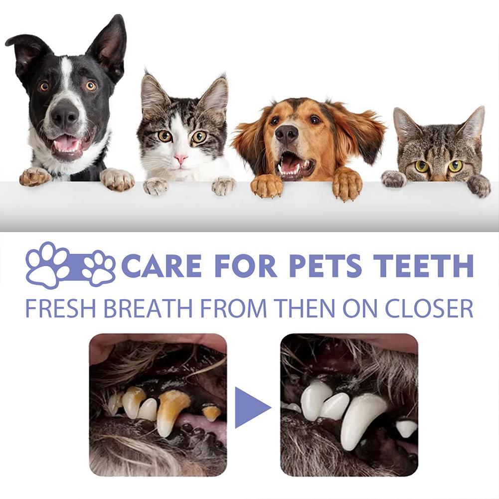 [ ]Pet Tooth Cleaning Spray