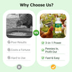 Poultry Multi-Symptom Oral Solution – Treats Respiratory, Digestive & Immune Issues in One Dose
