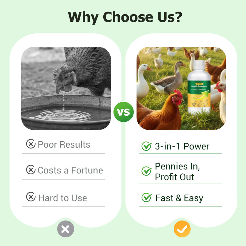 Poultry Multi-Symptom Oral Solution – Treats Respiratory, Digestive & Immune Issues in One Dose