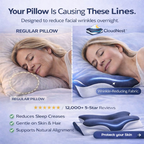 CloudNest™ Ergonomic Alignment Sleep Pillow