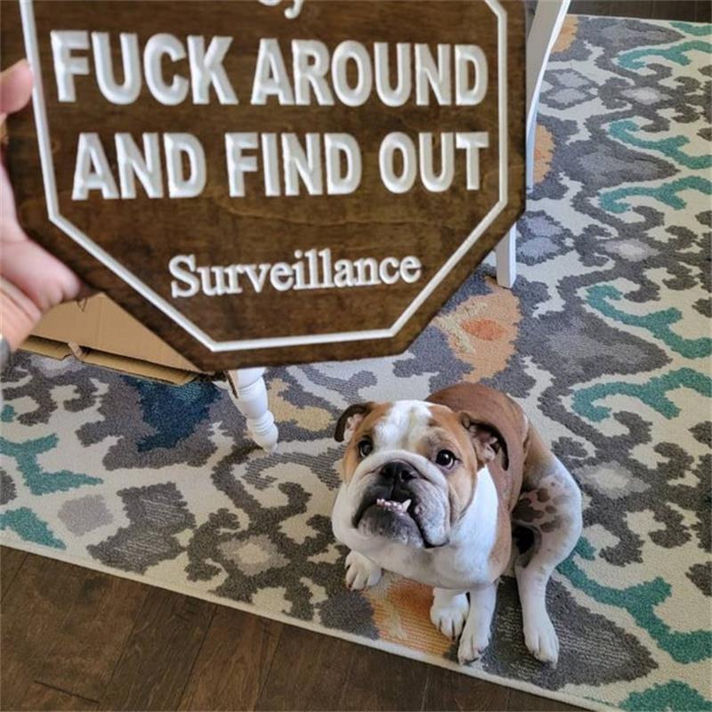 Promotion Security Sign Fuck Around and Find Out Sign