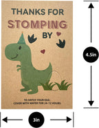 Valentine's Day Gift Set - Hatching Dino Egg Thank You Cards | Dinosaur Party Favors for Kids, Classroom Exchange, Birthday Goodie Bags