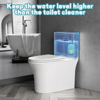 Toilet Cleaner & Toilet Deodorizer Wonder