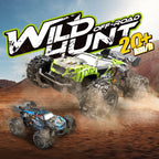 Professional RC cars and toys