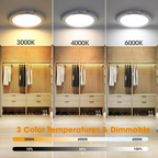 Motion Sensor Ceiling Light