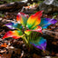 Premium Rare Hosta Seeds Shade-Tolerant Plant
