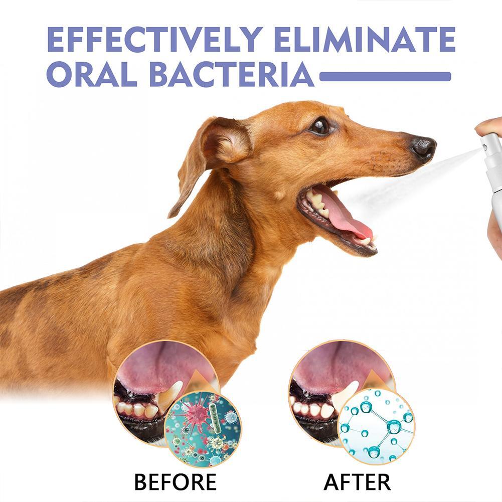 [ ]Pet Tooth Cleaning Spray
