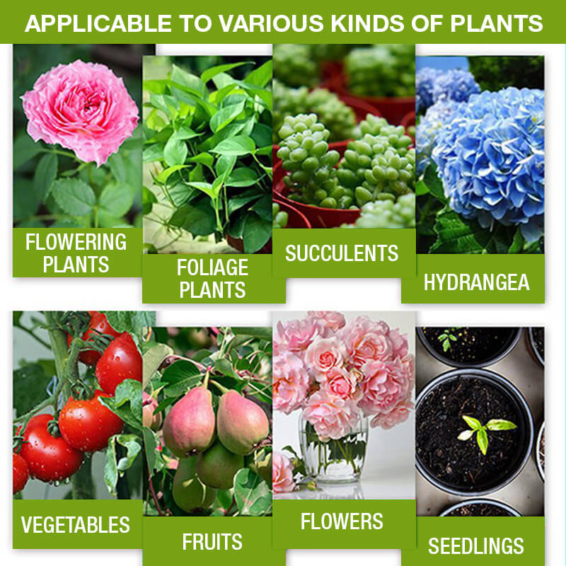 Plant Growth Enhancer Supplement（ ）
