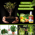 Plant Growth Enhancer Supplement（ ）