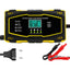 Portable Smart Car Battery Charger