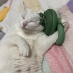 Ultimate Pet Comfort Massager