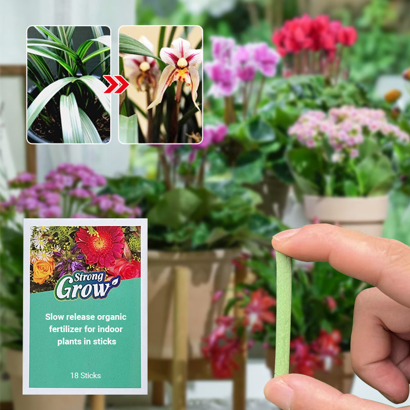 Slow-Release Organic Fertilizer In Stick Form For Indoor Plants