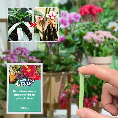 Slow-Release Organic Fertilizer In Stick Form For Indoor Plants