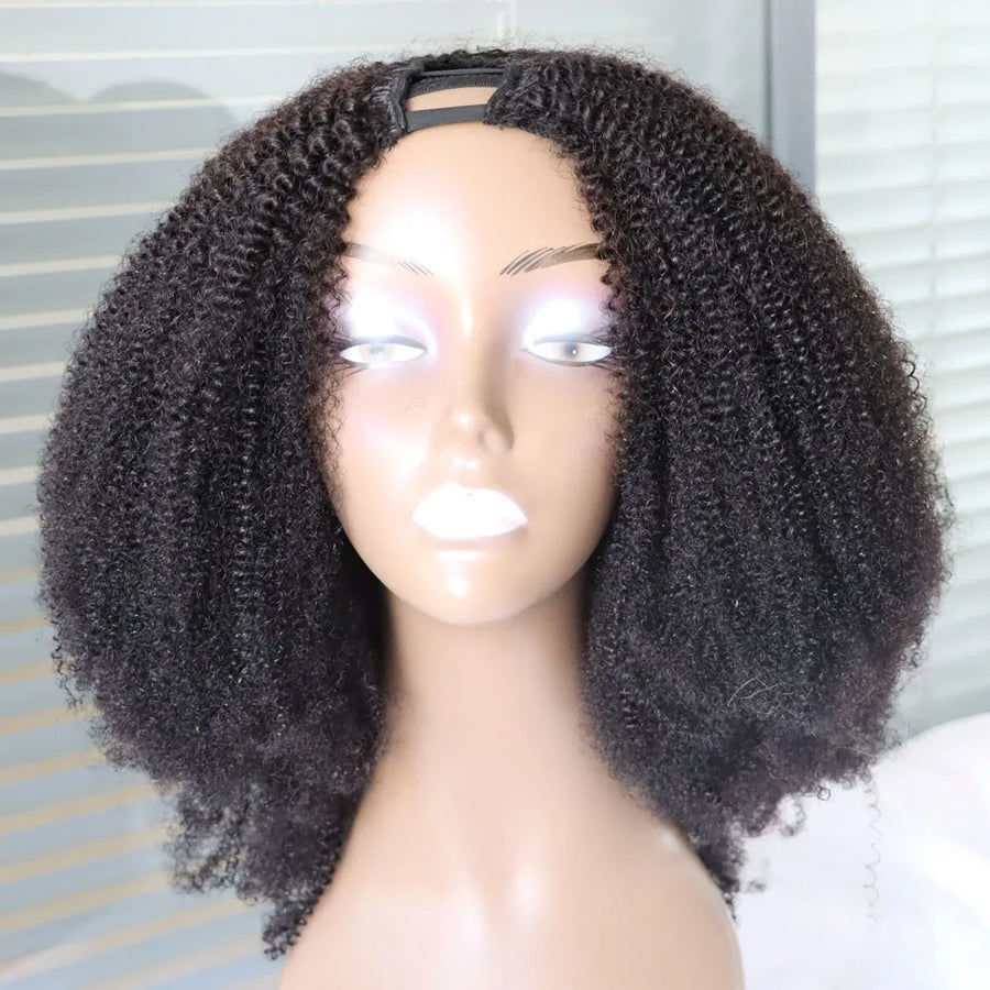 4C Afro Kinky Curly Virgin Human Hair Wig