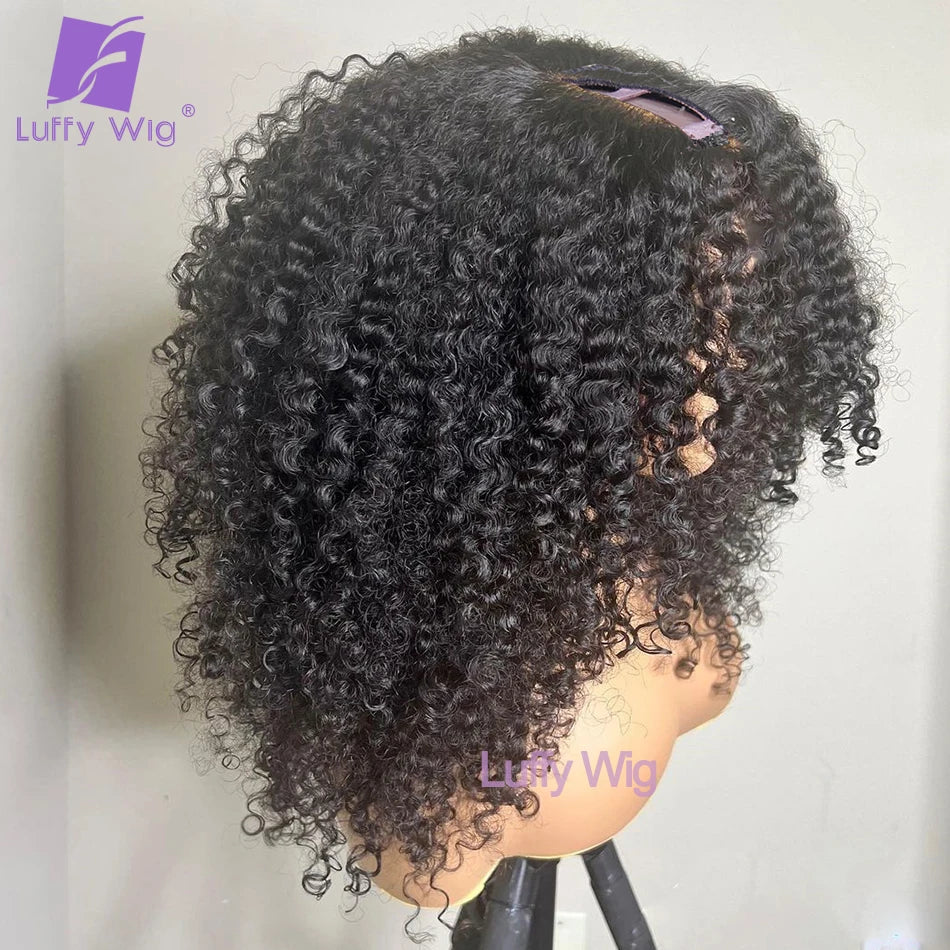 Tight Afro Kinky Curly V-Part Wig